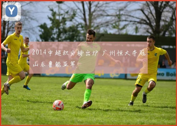 2014中超积分榜出炉 广州恒大夺冠山东鲁能亚军