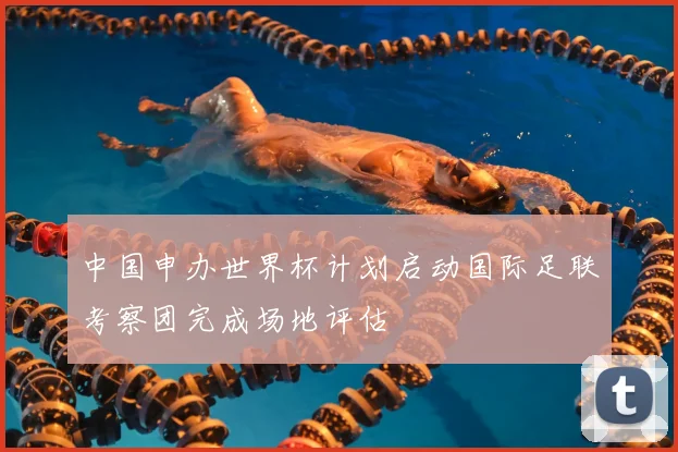 中国申办世界杯计划启动国际足联考察团完成场地评估